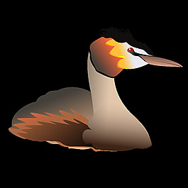 podiceps_cristatus
