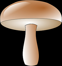 香菇
