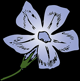 長春花