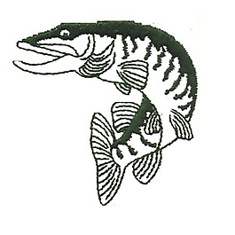 繡花 動物 魚 色彩 單色 免費素材