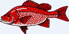 繡花 動物 魚 花紋 色彩 免費素材