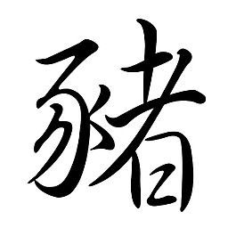 豬