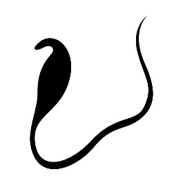 蛇的造型設計