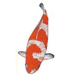 繡花 動物 魚 花紋 色彩 免費素材