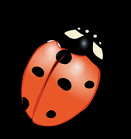 瓢蟲