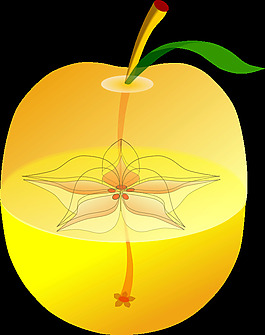 appleanatomy