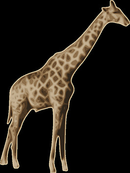 jirafa