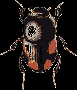 甲蟲（Caccobius）