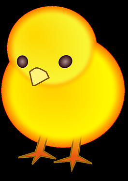 小雞