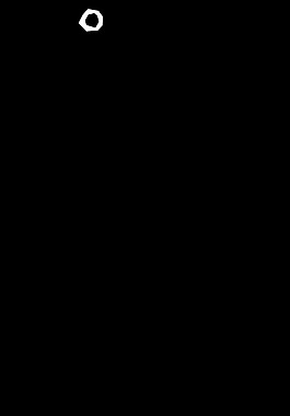 鴿子
