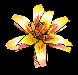 花4