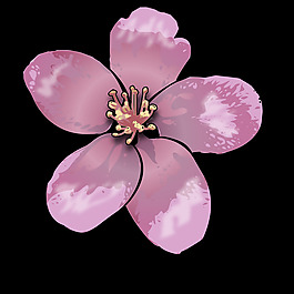 蘋(píng)果花