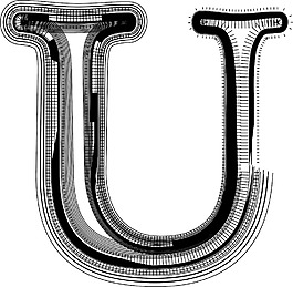 字體插圖U
