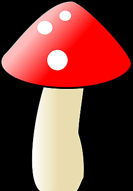蘑菇