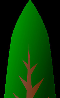 樹