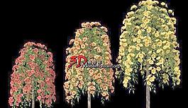3株玫瑰樹 rose 03（含高低模兩種版本）