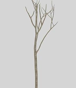 小樹(shù)03