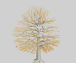 角樹（樹木）hornbeam