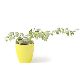 高精细盆栽植物059