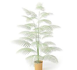 高精細(xì)盆栽植物045