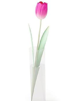 高精細(xì)花瓶插花,粉紅郁金香模型019