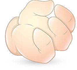 動畫的手勢-矢量插畫