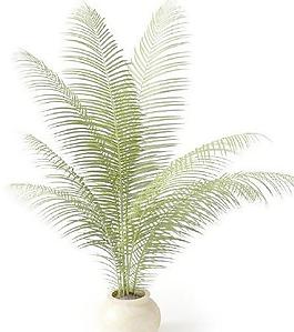 高精細盆栽植物模型03
