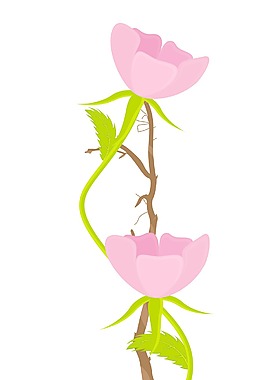 粉紅色的花枝向量的設計
