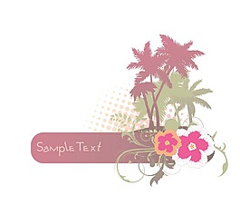 夏天的插圖