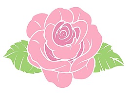 玫瑰