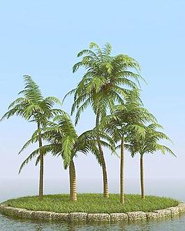 高精細(xì)椰子樹(shù) coconut palm 01