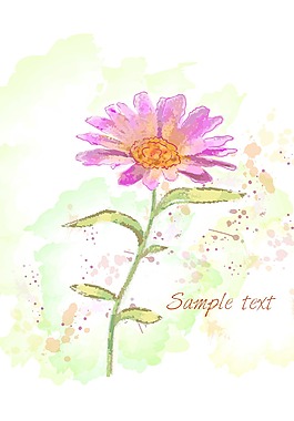畫(huà)花卉背景矢量插畫(huà)