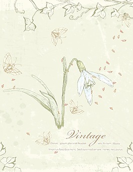 花卉矢量-背景