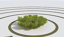 高精細(xì)杜松模型 juniper 06