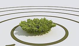 高精細(xì)杜松模型 juniper 04