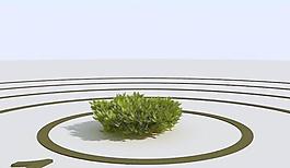 高精細(xì)杜松模型 juniper 03