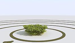 高精細(xì)杜松模型 juniper 01