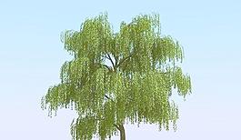 高精細楊柳樹模型 willow 04