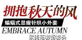 秋天的風(fēng)海報(bào)字體素材