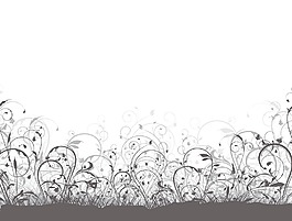 花卉背景矢量插畫(huà)