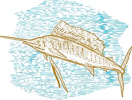 旗魚魚跳素描