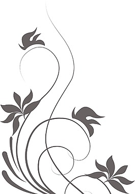 花的旋度矢量元素