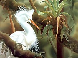 位圖 動(dòng)物 鳥類 棕色 白色 免費(fèi)素材