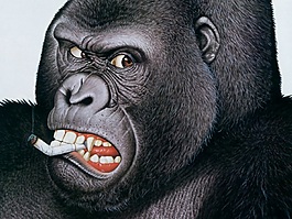 位圖 動物 黑色 灰色 白色 免費素材