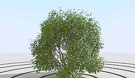 高精細灌木叢模型 bush 06