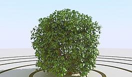 高精細灌木叢模型 bush 04