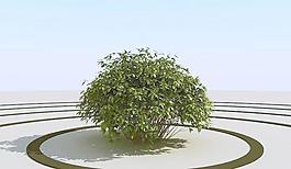 高精細灌木叢模型 bush 01