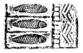 位圖 動(dòng)物 魚(yú) 色彩 黑白色 免費(fèi)素材