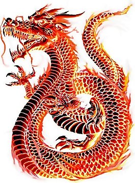 位圖 動物 龍 色彩 橘紅色 免費素材
