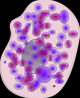 mast_cell